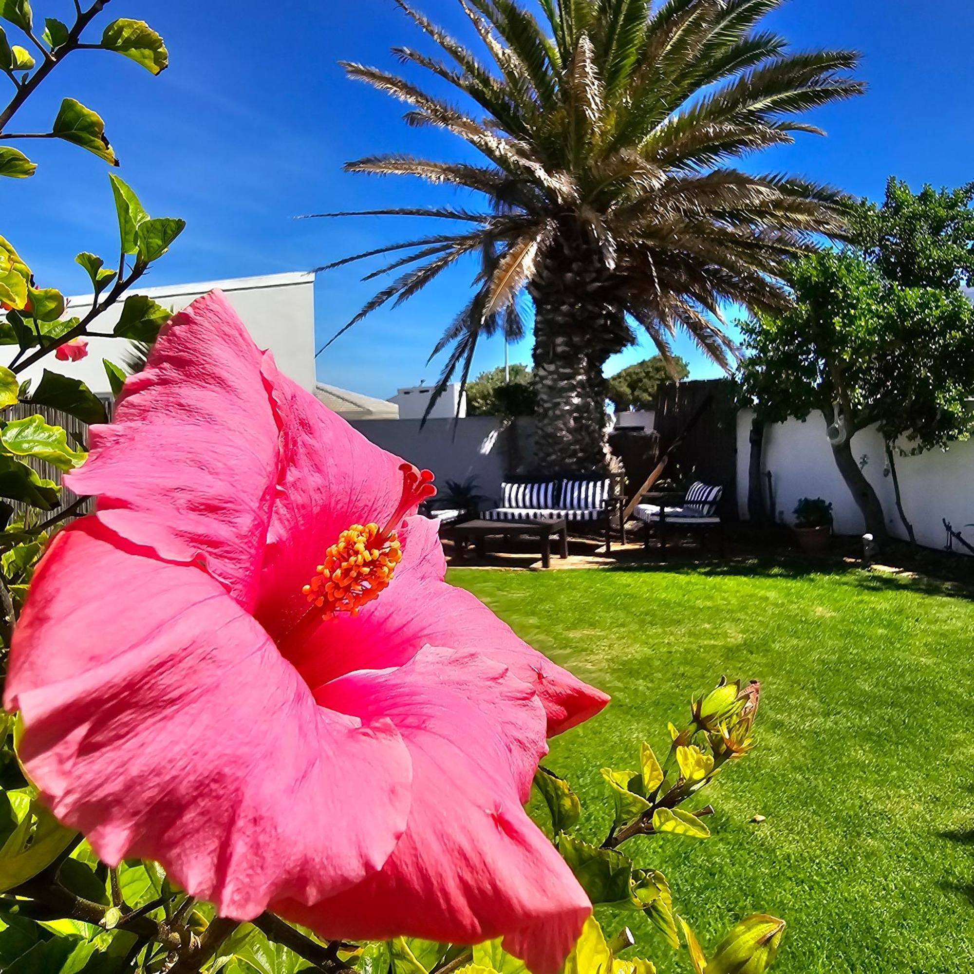 Swept Away Guesthouse - No-Loadshedding Yzerfontein Esterno foto